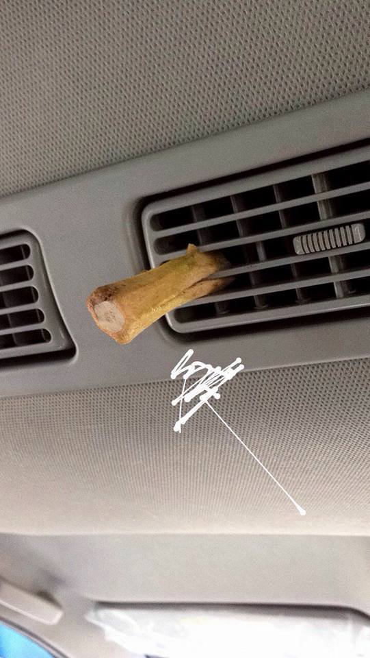 Durian stem in car's ac compartment