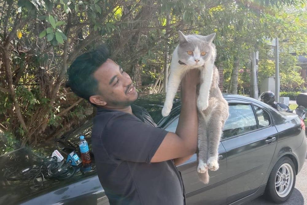 Anwar ibrahim's cat named billy warms the hearts of reporters & netizens