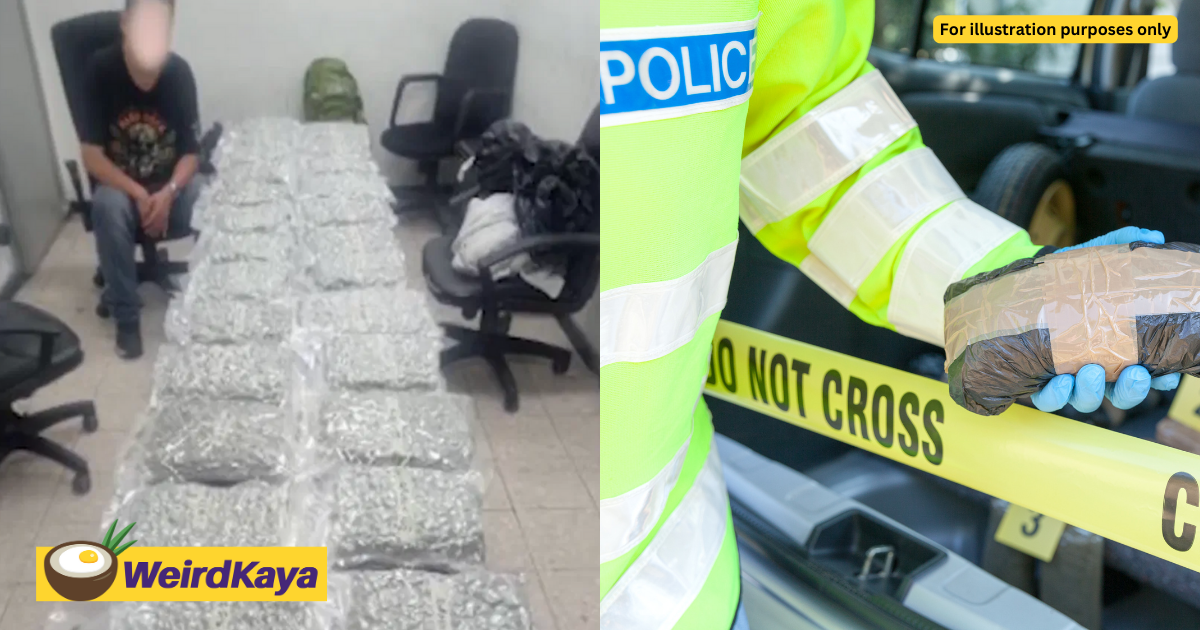 2 m'sians caught allegedly smuggling rm3. 7mil worth of cannabis to maldives  | weirdkaya