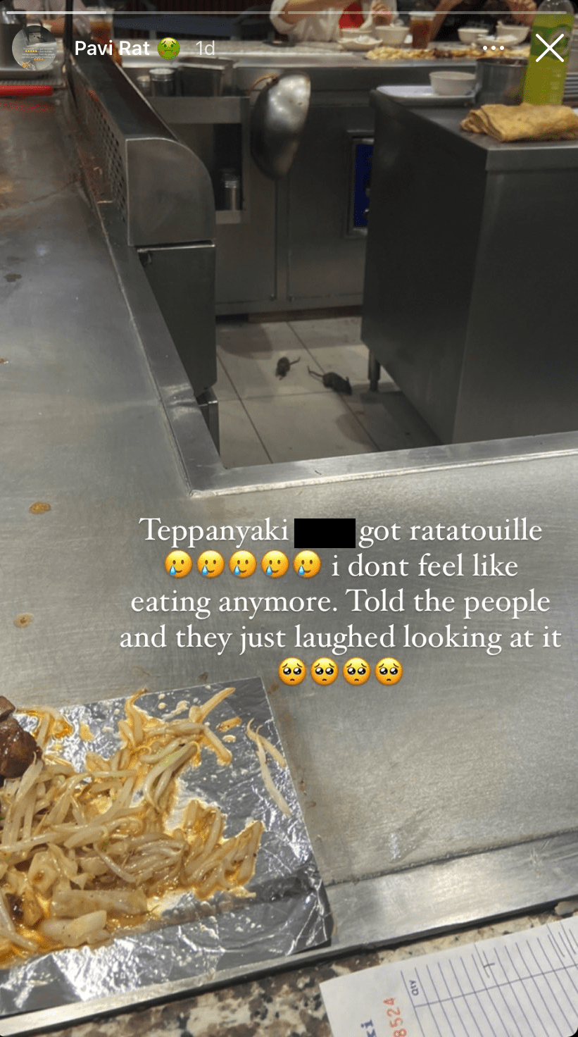 2 rats spotted running freely in teppanyaki restaurant in kl shopping mall