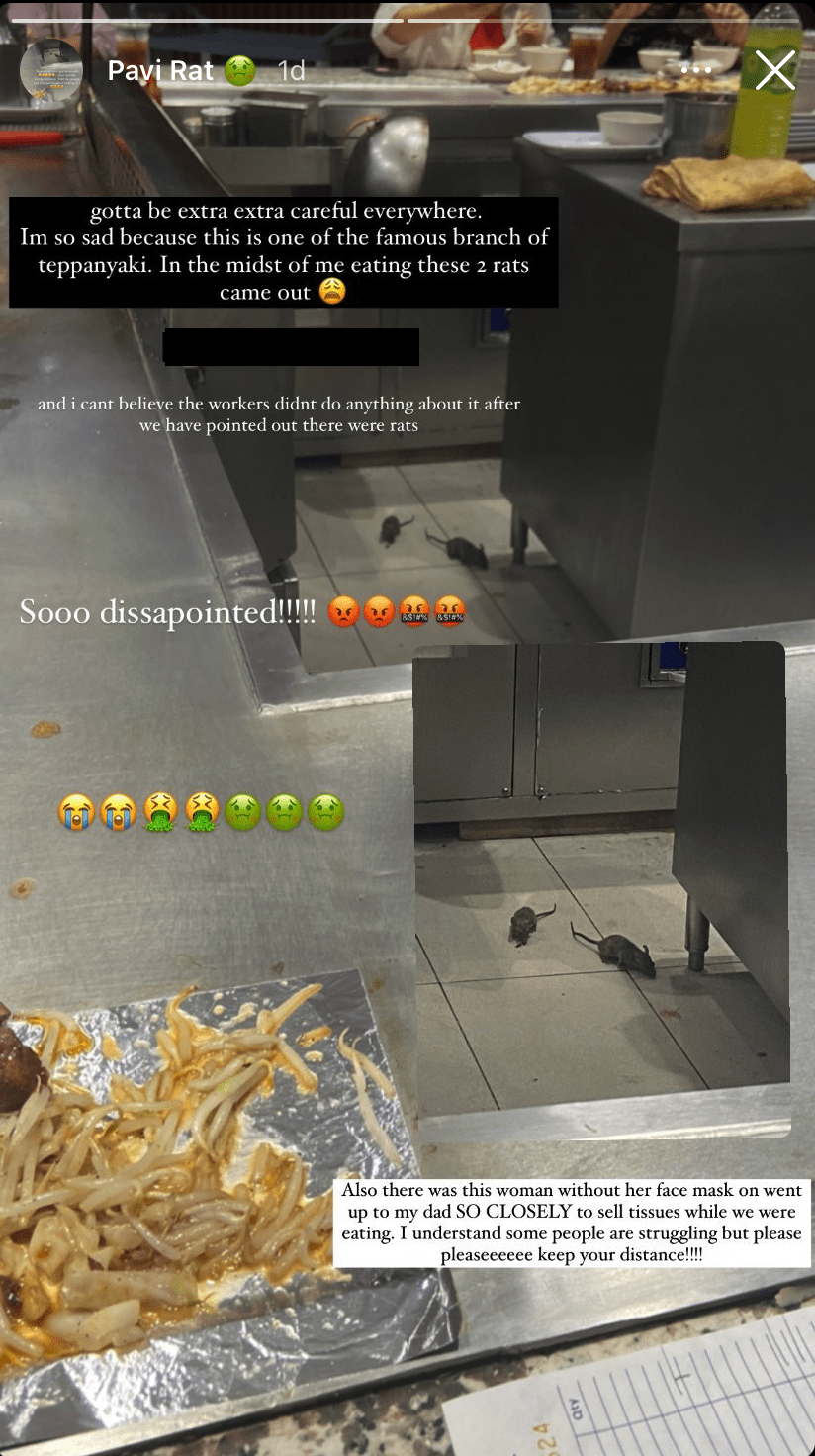 2 rats spotted running freely in teppanyaki restaurant in kl1