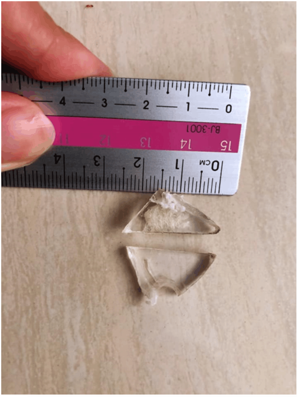 [alert! ] malaysian lady finds glass fragments in her gardenia bread