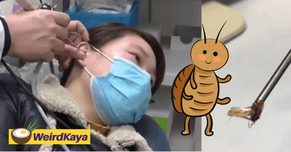 [video] cockroach found inside woman's ears, snacking in bed the likely cause | weirdkaya