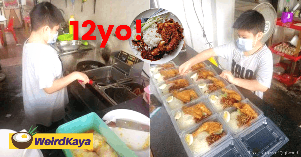 12yo nasi lemak seller aspires to be a future chef | weirdkaya