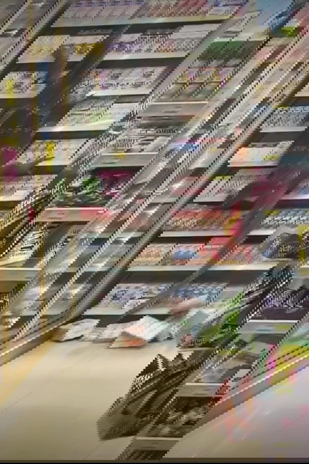 Terrifying video shows Godzilla-like lizard ransacking 7-Eleven store in search of food