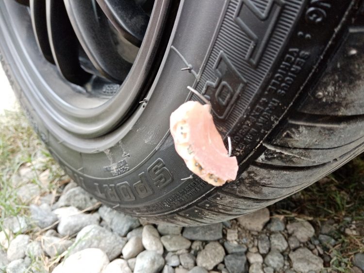 Strongest teeth ever? Car tire proves to be no match for false dentures
