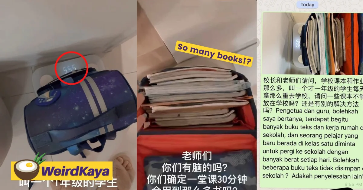 [video] influencer's rant over the weight of her son's school bag goes viral | weirdkaya
