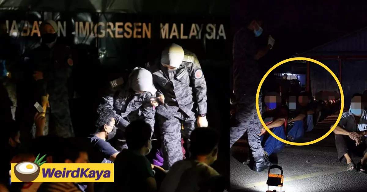 Busted: police foil foreign workers' attempt to hide in drains and fish boxes | weirdkaya