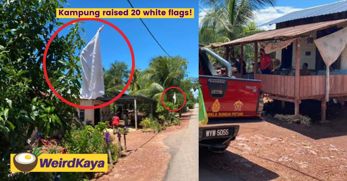 Fishing village recieves immediate aid after hanging 20 white flags | weirdkaya
