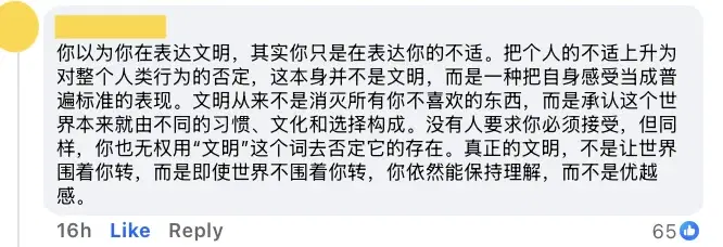 Comment m'sian influencer slams those who set off fireworks as 'uncultured', says animal will be scared