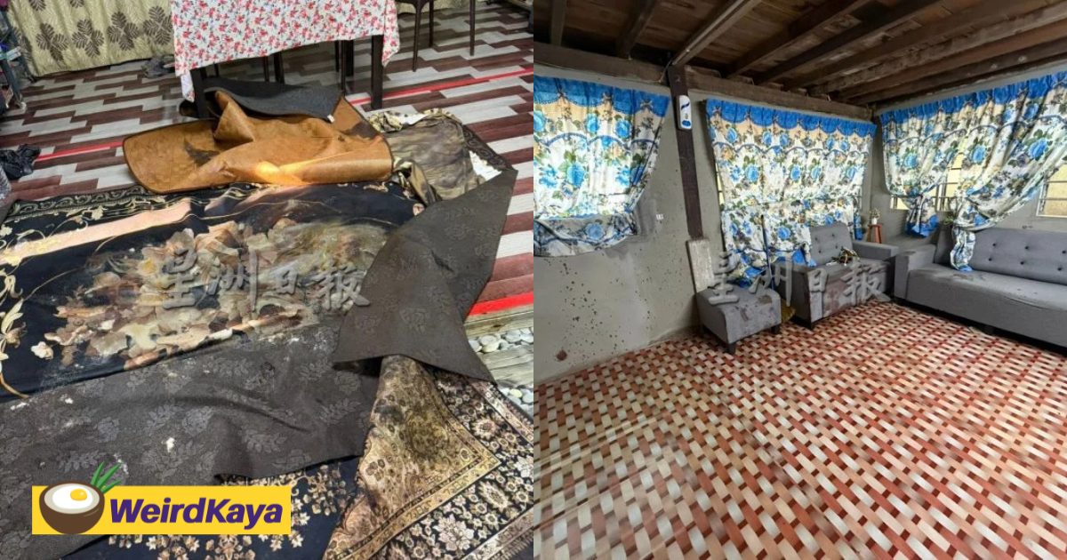 yo m'sian allegedly kills parents, then takes his own life when police break into sungai petani home