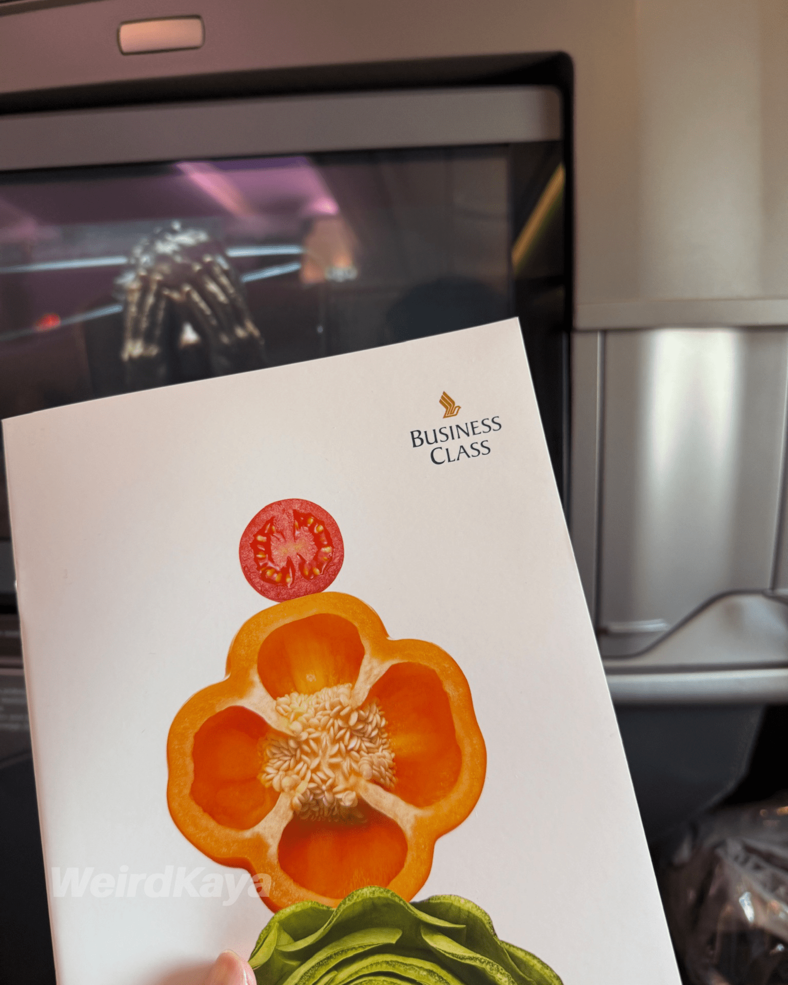 Singapore airlines sq business class