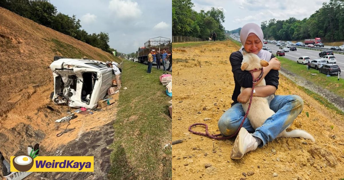 M’sian Woman Breaks Down In Tears As She Reunites With Missing Dog 9.9 After Highway Crash | WeirdKaya