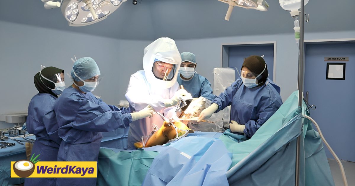 Robotic-Assisted Knee Surgery Offers Greater Precision And Faster Recovery | WeirdKaya