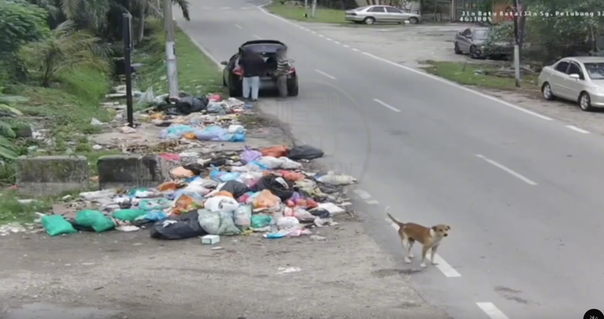  wk “pick it up now” — men dump trash, then forced to take it back after cctv warning. 