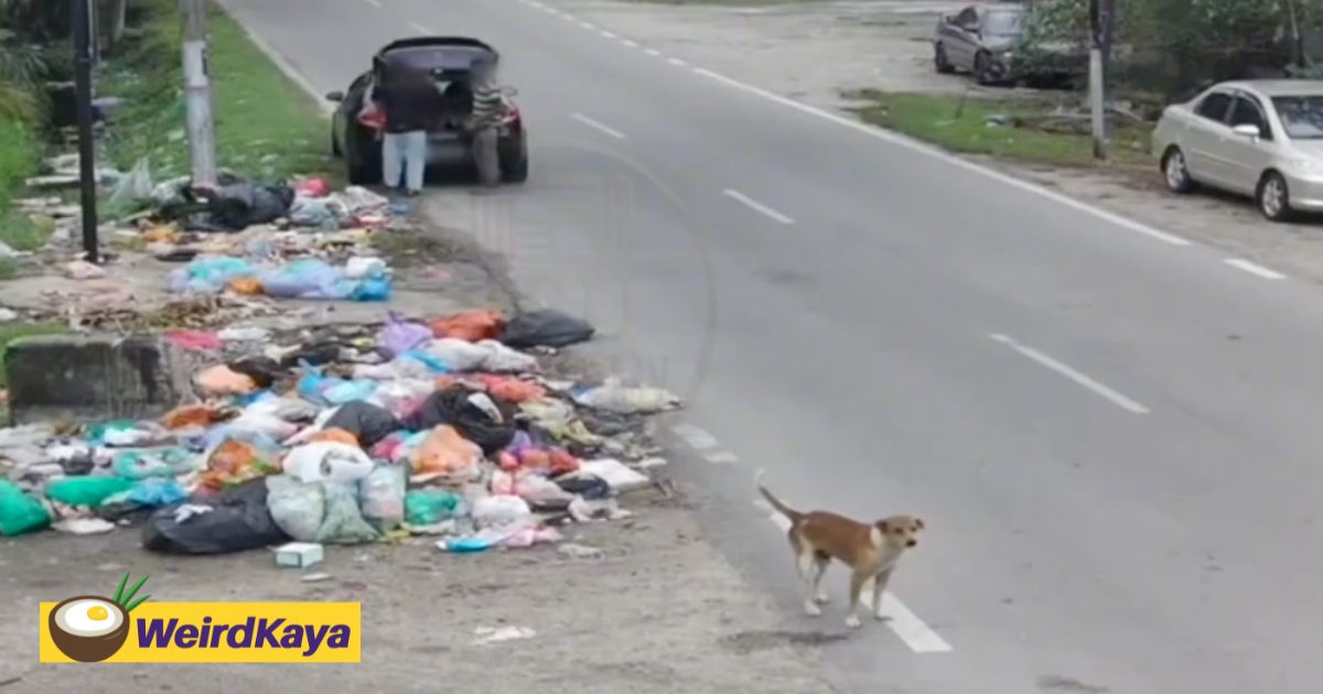 “Pick It Up Now” — 2 Men Dump Trash, Then Forced To Take It Back After CCTV Warning | WeirdKaya