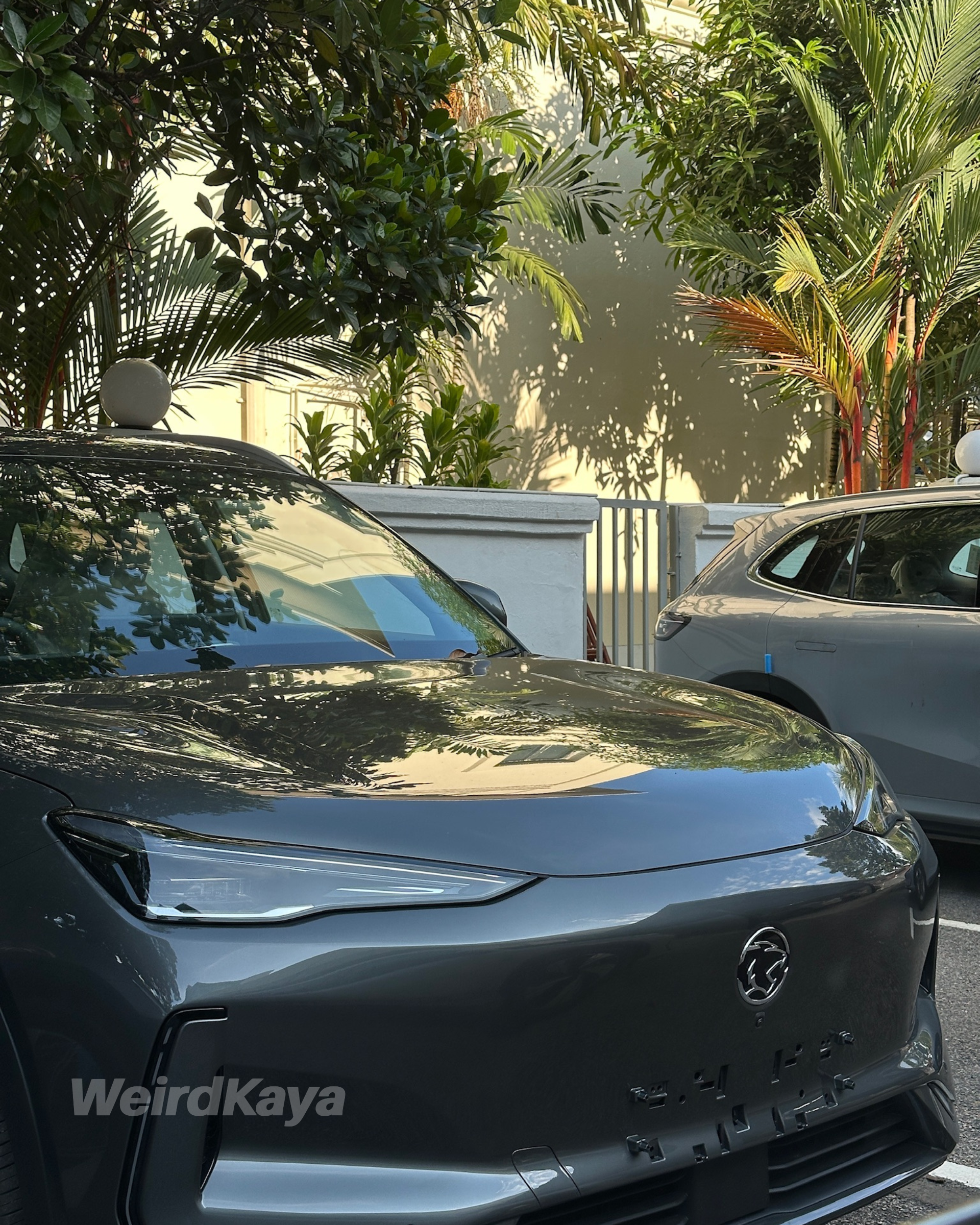  wk proton ev e.mas 