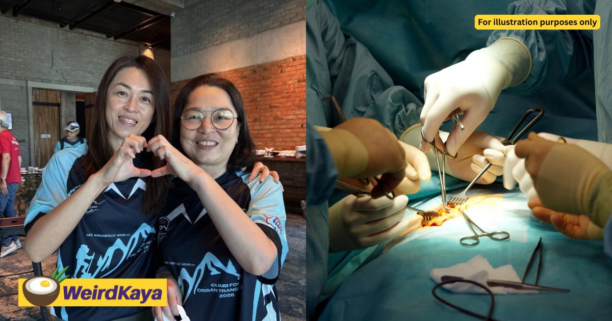 M’sian Woman Donates Kidney To Save Elder Sister Suffering From Kidney Failure | WeirdKaya