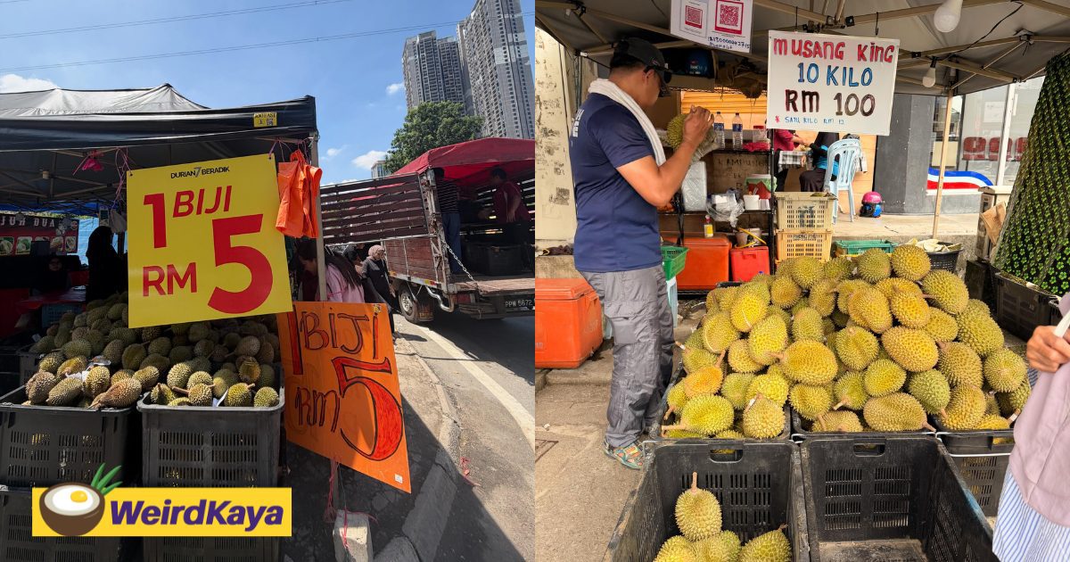Durians Are Now Going For As Low As RM5 Per Fruit Due To Oversupply | WeirdKaya