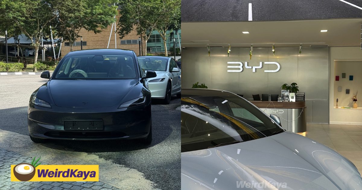 I Switched From Petrol Car To EV & Did The Math On Charging, Insurance & Monthly Cost.  Here’s What I Found. | WeirdKaya