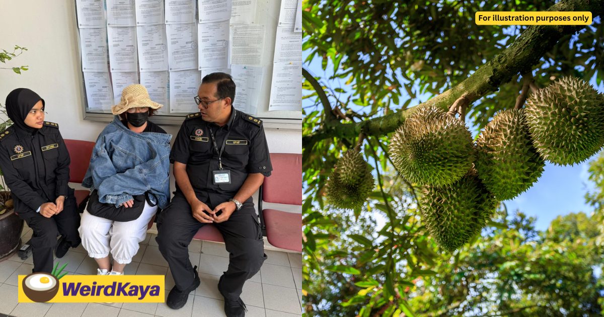 M'sian Woman Fined RM80,000 For Illegally Planting Durians On Pahang State Govt-Owned Land