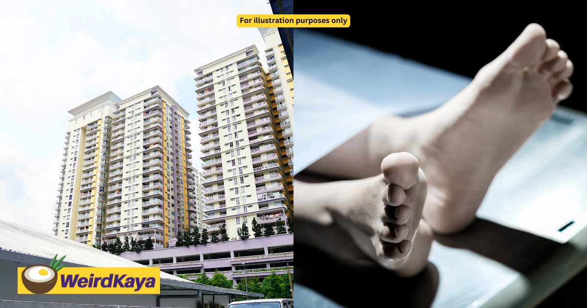 8yo Girl Falls From Johor Apartment Alongside 10yo Boy, Dies From Her Injuries | WeirdKaya