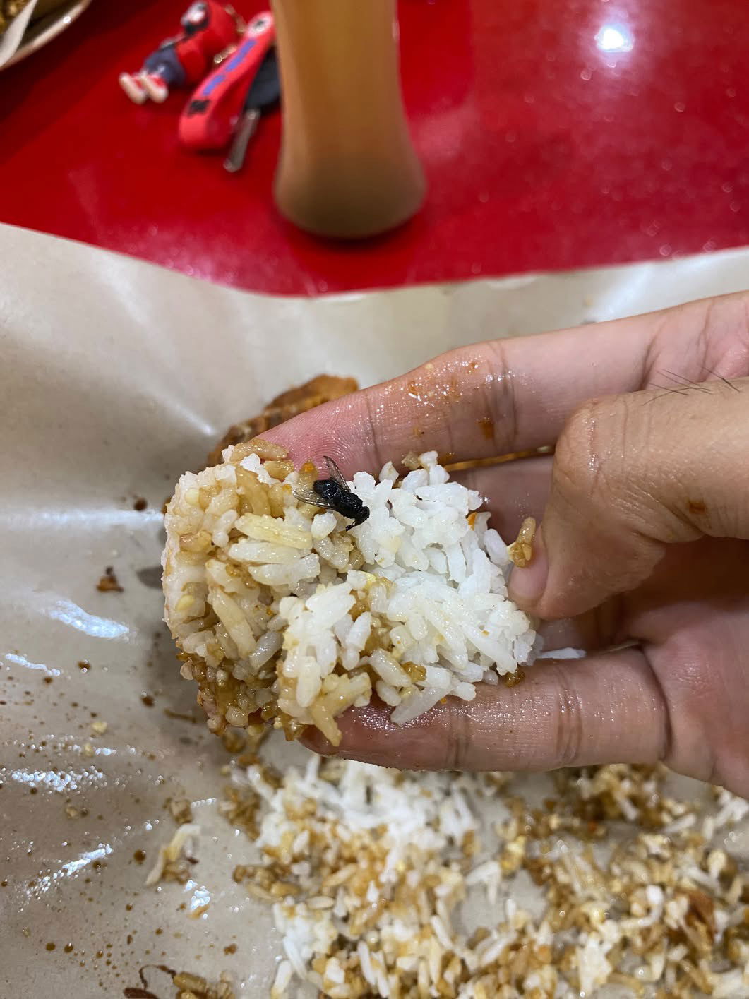  wk m’sian claims he found “deep fried” fly in ayam gepuk after eating % of it. 