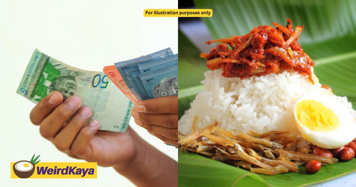 M’sian Woman Survives On RM2.50 Nasi Lemak Daily After Being Left With RM718 For The Month | WeirdKaya