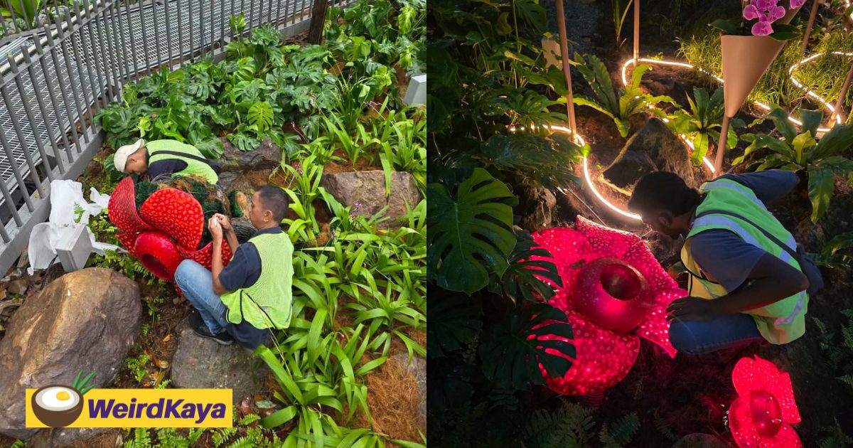 “Not Fake, It’s An Installation” – M’sian Team Explains KLIA1’s Viral Hornbill & Rafflesia | WeirdKaya