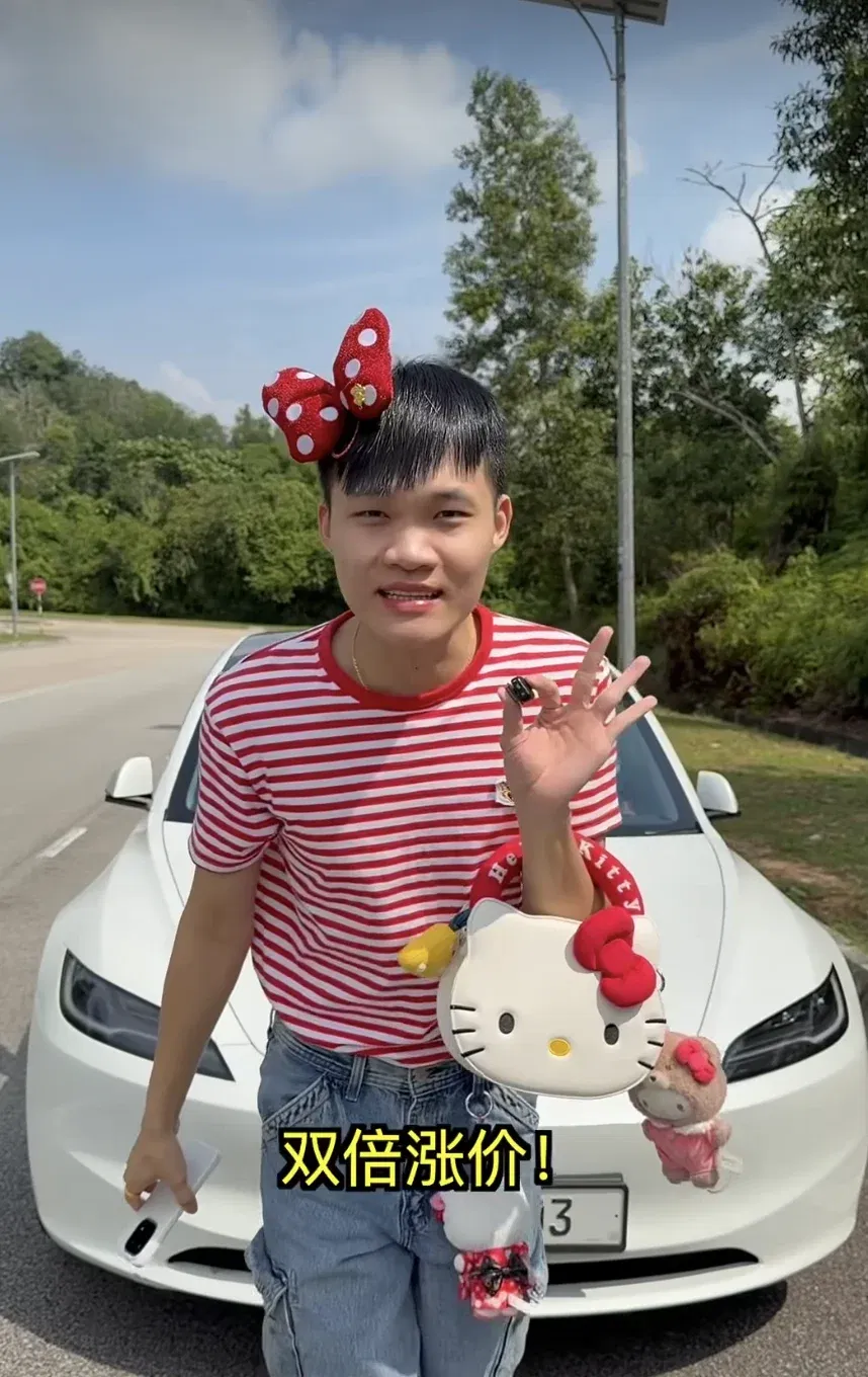 wk bryan wee tesla
