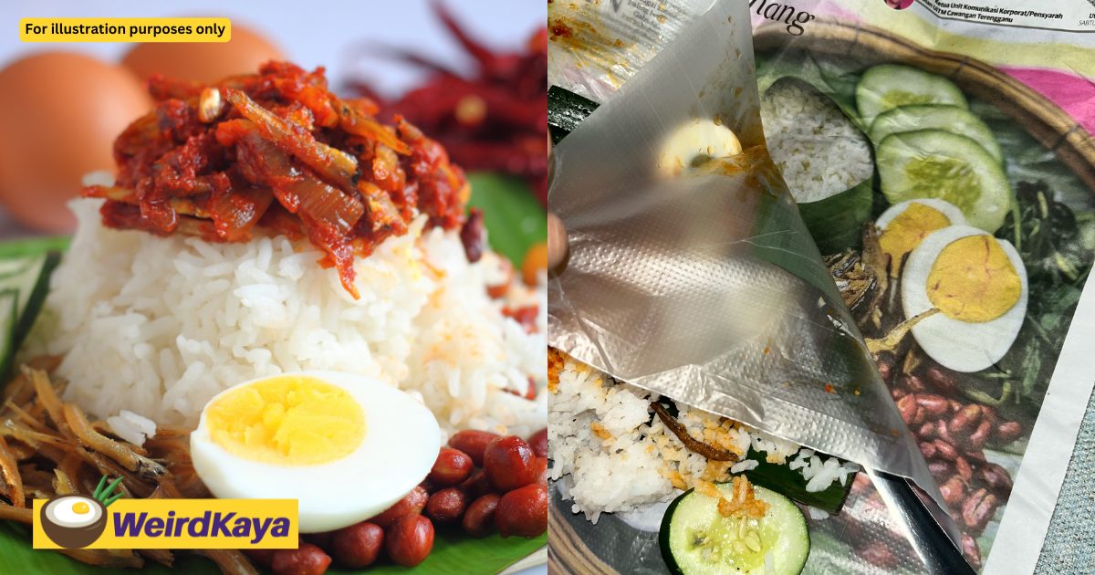M’sian Woman Thinks She Got Extra Egg & Cucumbers For Nasi Lemak, Turns Out It Was Part Of Newspaper | WeirdKaya