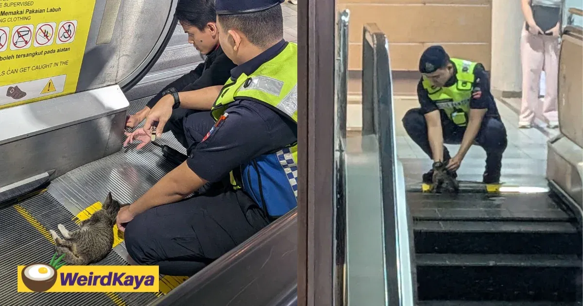 Kitten Trapped At MRT Sungai Besi Escalator Rescued & Sent To Vet By Kind Netizen | WeirdKaya