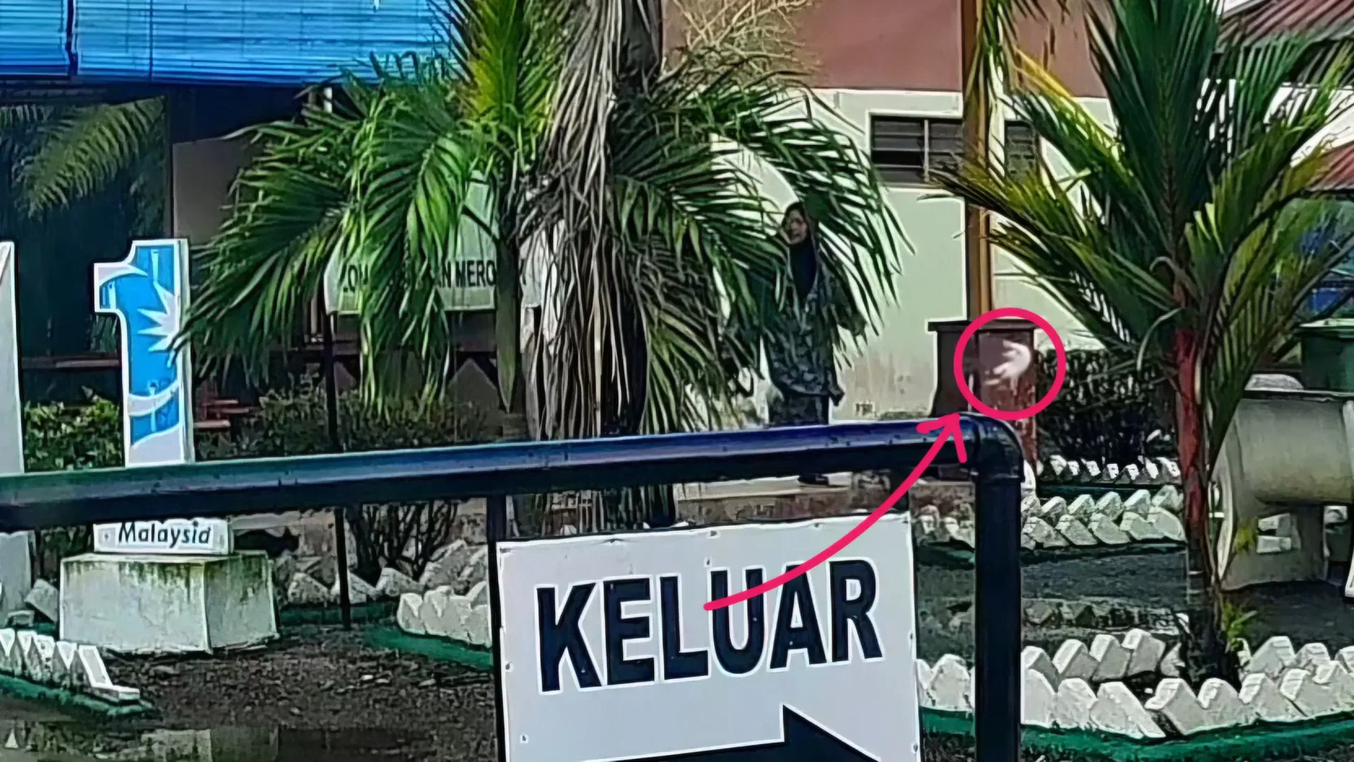  wk m'sian woman kicks kittens & sends them flying after scolding youths for feeding them.. 