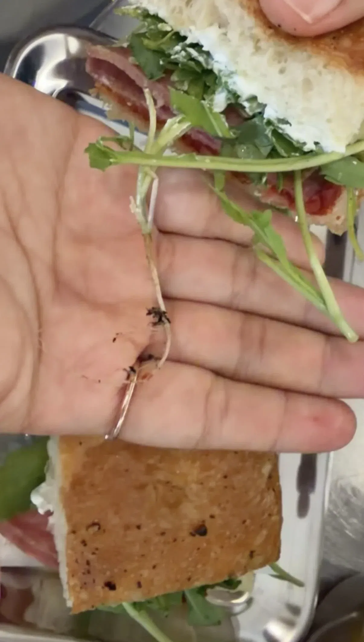 wk m’sian woman shocked after finding an entire root with soil inside her sandwich...