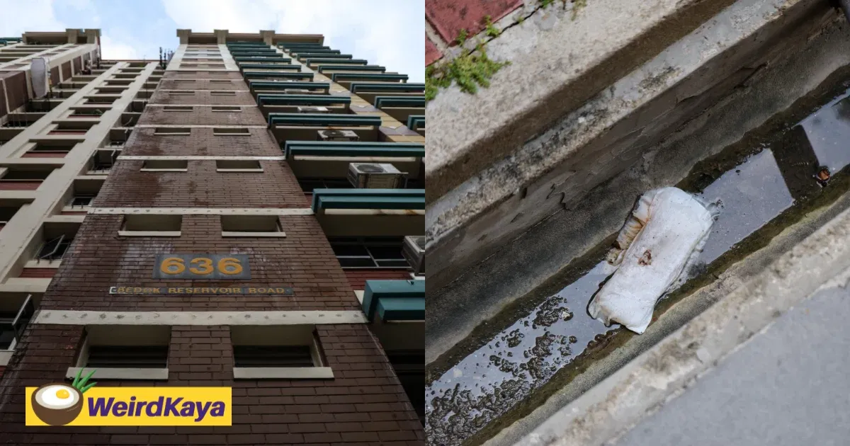 Bloodied Sanitary Pads Seen On The Ground At SG Flat, Residents Disgusted | WeirdKaya