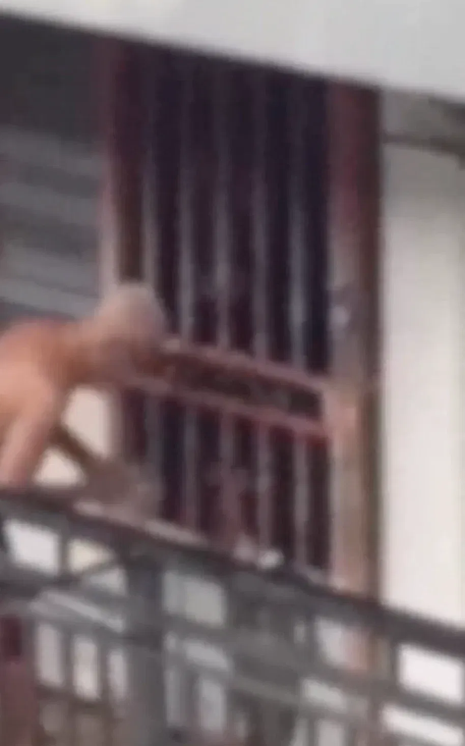  wk yo m’sian man allegedly sets fire to neighbour 