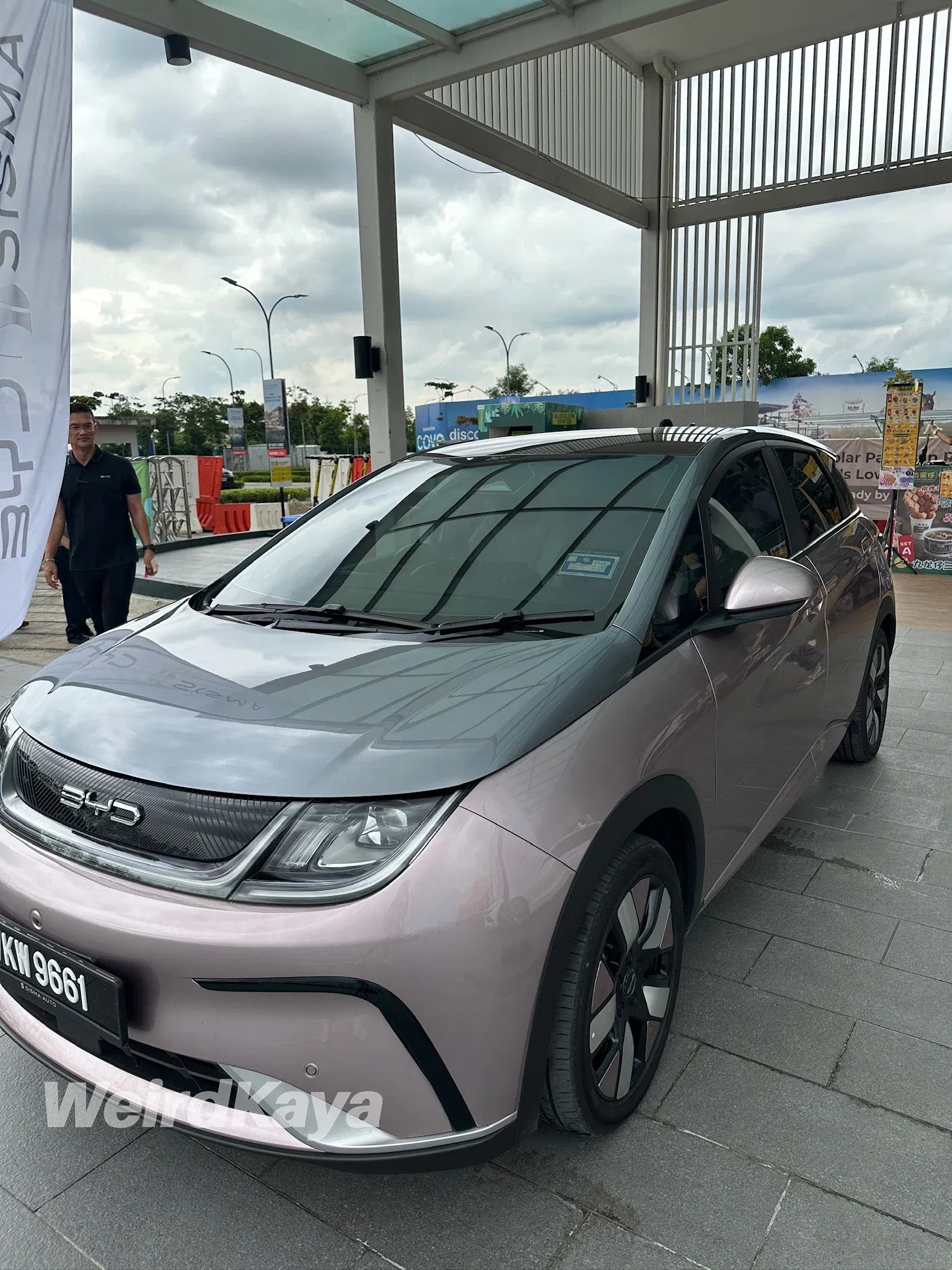 wk electric vehicle byd dolphin ( )