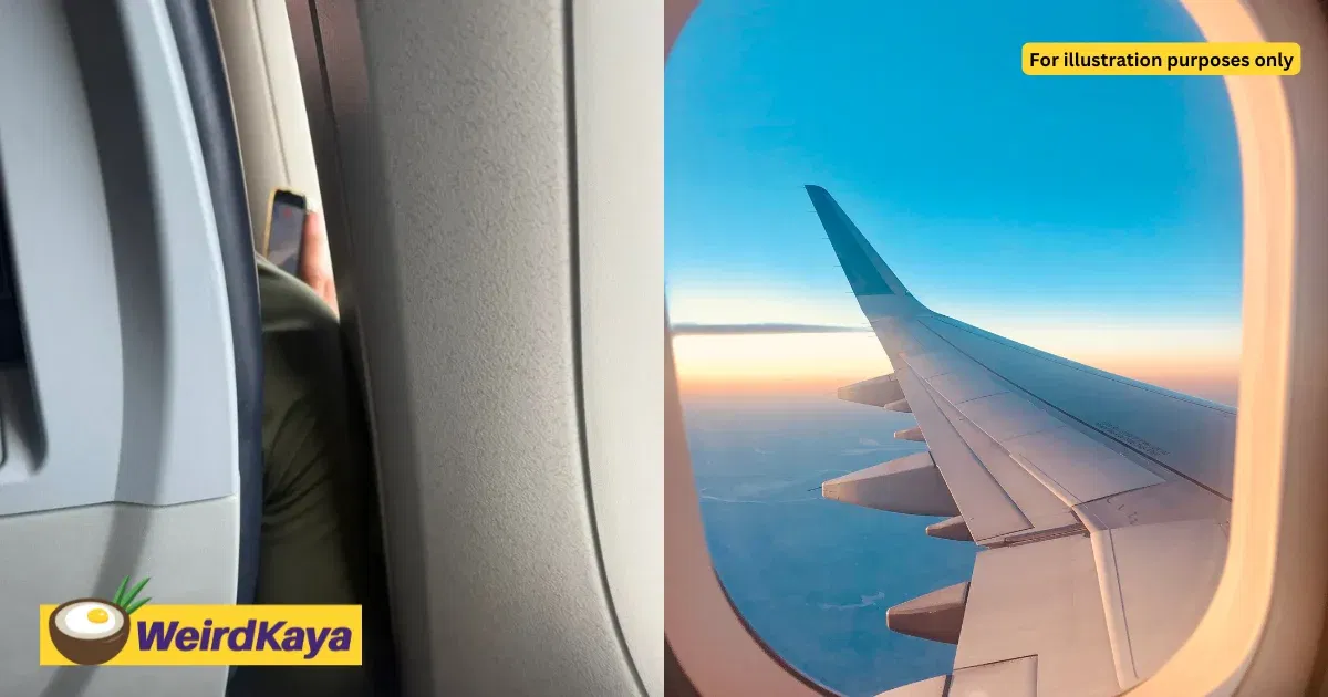 Man Mocks Lower Income Passenger For Filming Plane Landing, Gets Roasted For Sitting In Economy Too | WeirdKaya