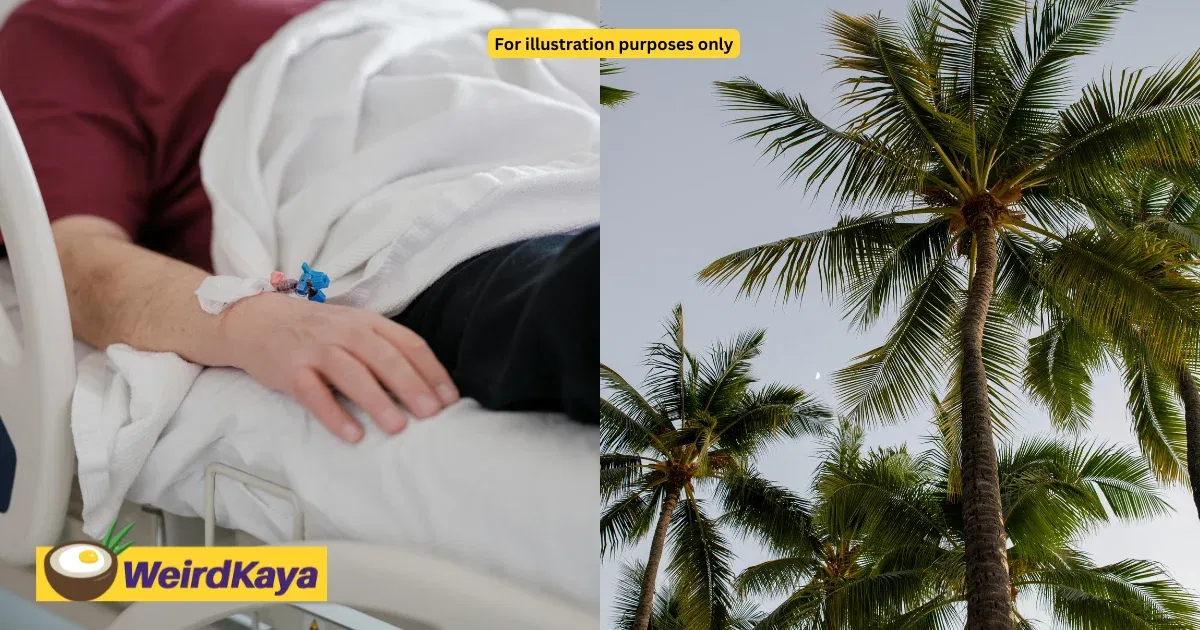 M’sian Man Awarded RM2.21mil By Court After Falling Coconut Tree Leaves Him Paralysed For Life | WeirdKaya