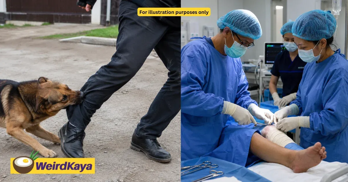 M’sian Doctor Shares 3 Things You Must Do Immediately After A Dog Bite | WeirdKaya