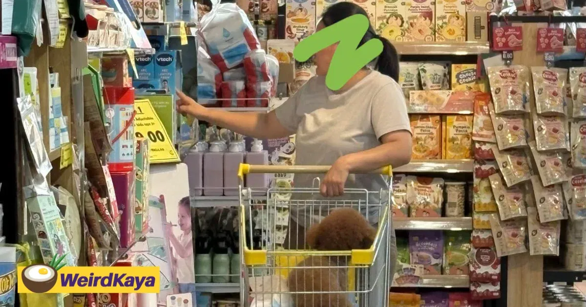 Woman From China Places Pet Dog Inside Trolley At Perak Store, Sparks Online Fury | WeirdKaya