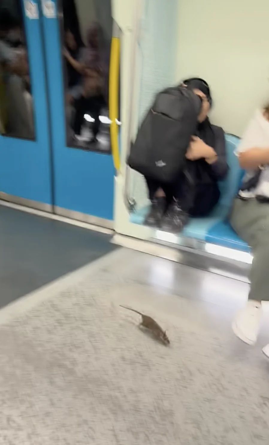 wk rat seen running around inside mrt kajang line train