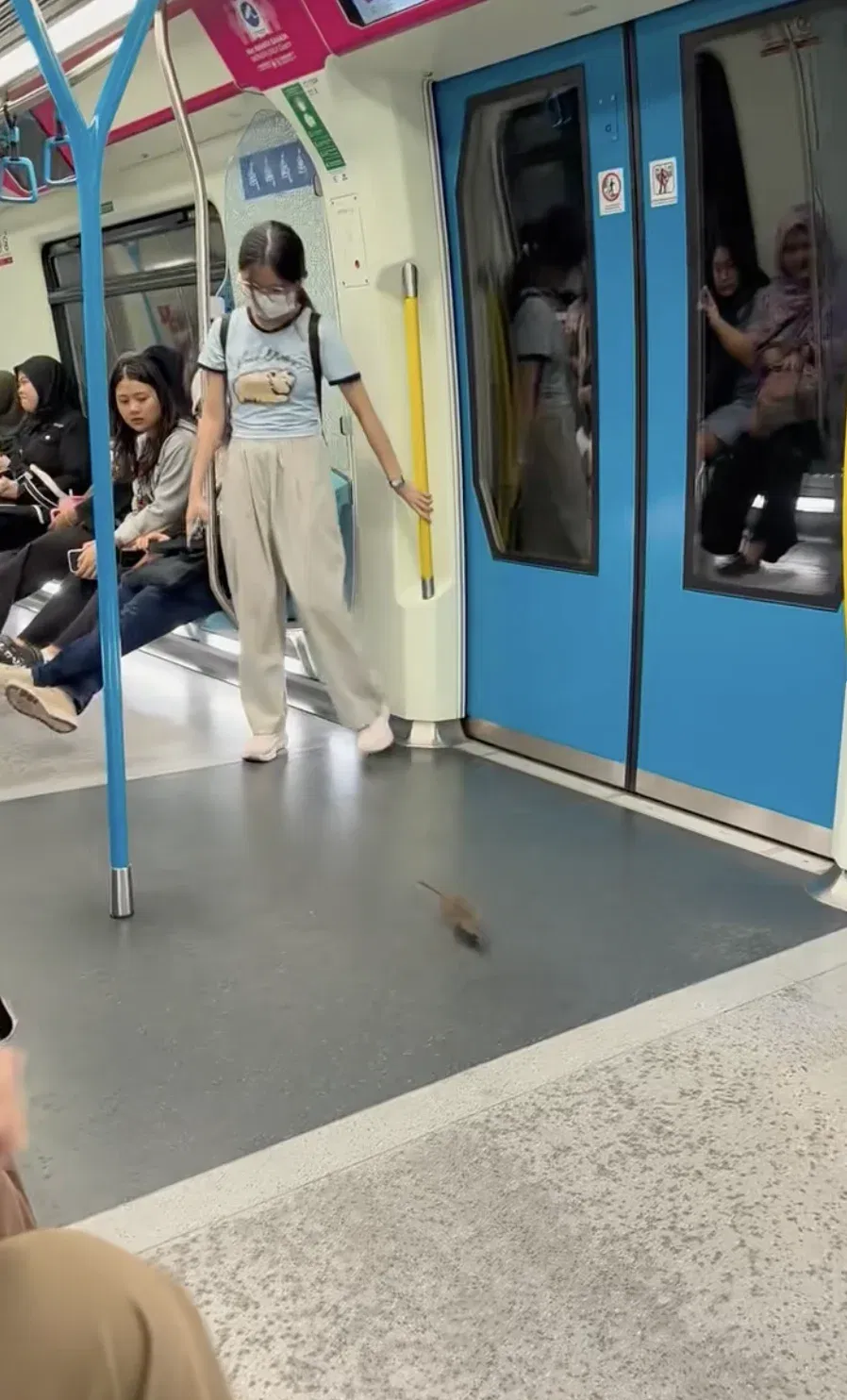 wk rat seen running around inside mrt kajang line train