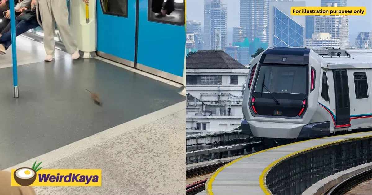 Rat Seen Running Around Inside MRT Kajang Line Train | WeirdKaya