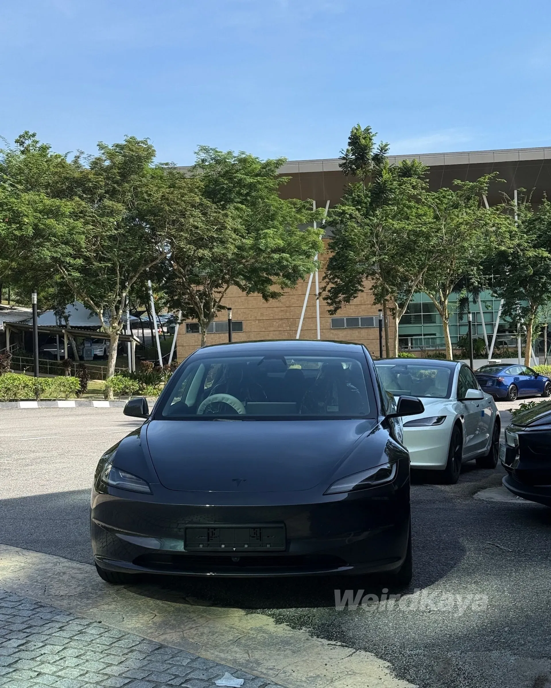 wk tesla model ( )