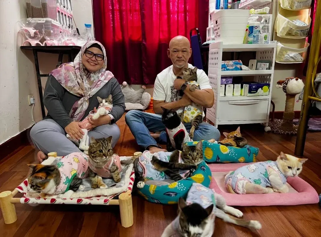 wk wati and husband with the disabled cats