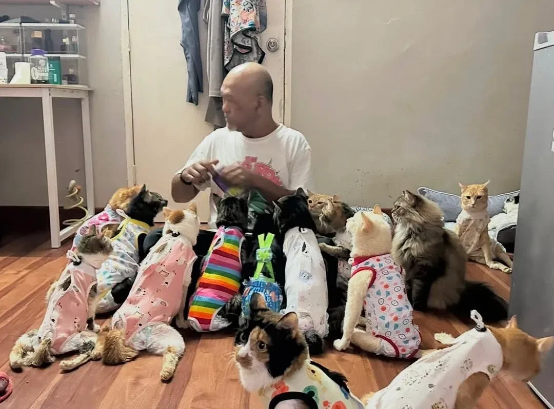 wk wati's hubby with the cats