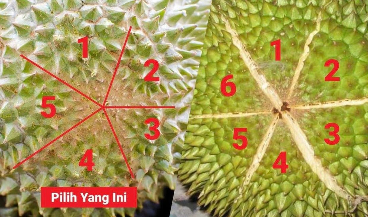 Durian with splits on top.
