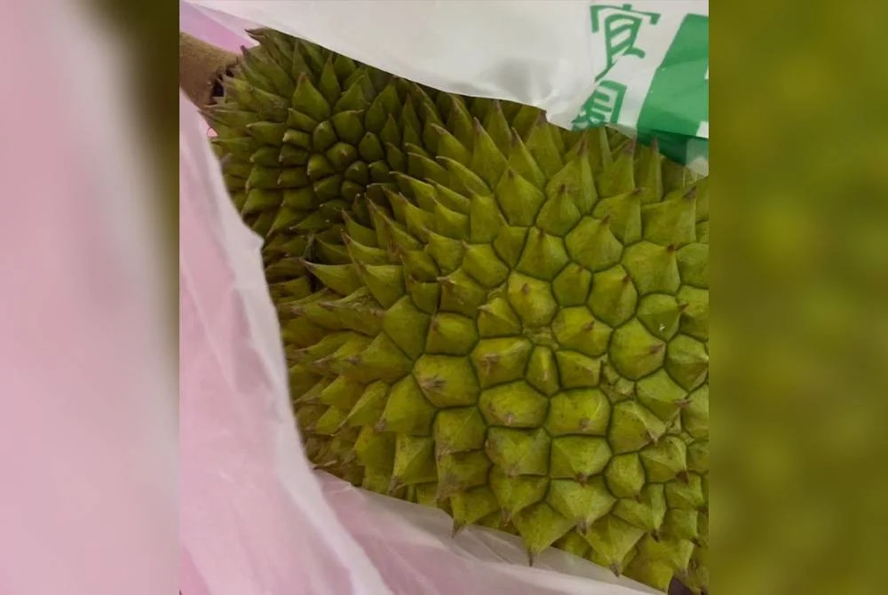 5yo m'sian girl gifts teacher with a durian for teacher's day, leaves her touched by gesture