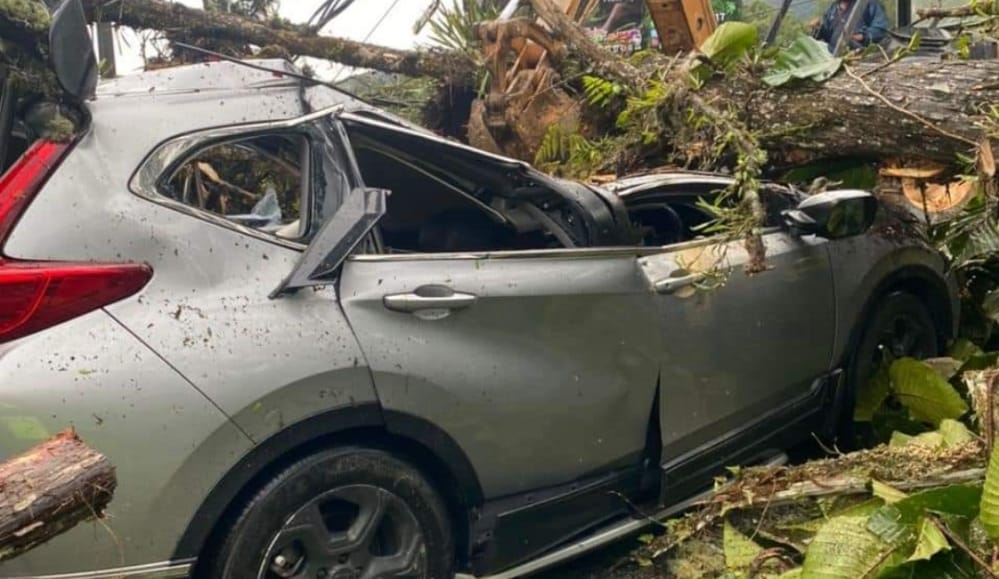 One injured after uprooted tree crushes vehicle following landslides in cameron highlands | weirdkaya